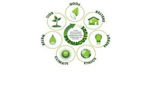 The rules of Permaculture