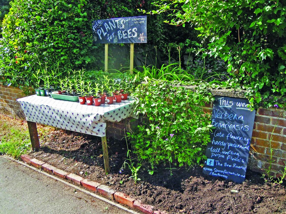 free plants for bees