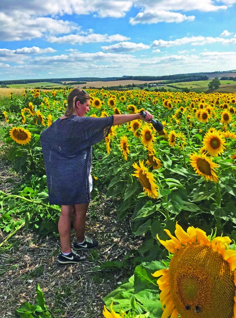 Recording the bees