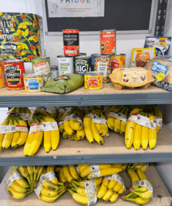 A Community Fridge for Marlborough…coming soon