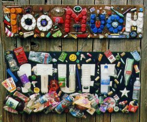 Marlborough Climate Day – What Can I Do?