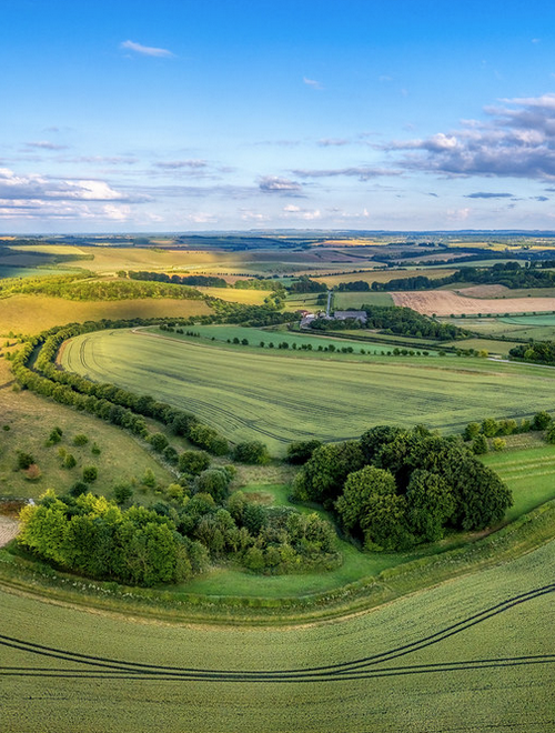 Transition-Marlborough-Temp-Image