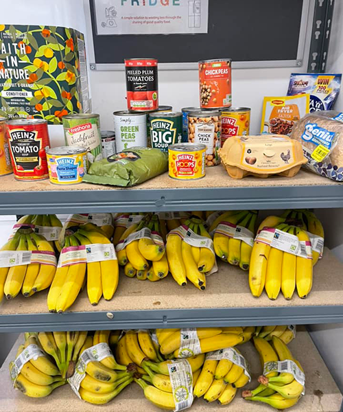 photo of the contents of the marlborough Community Fridge