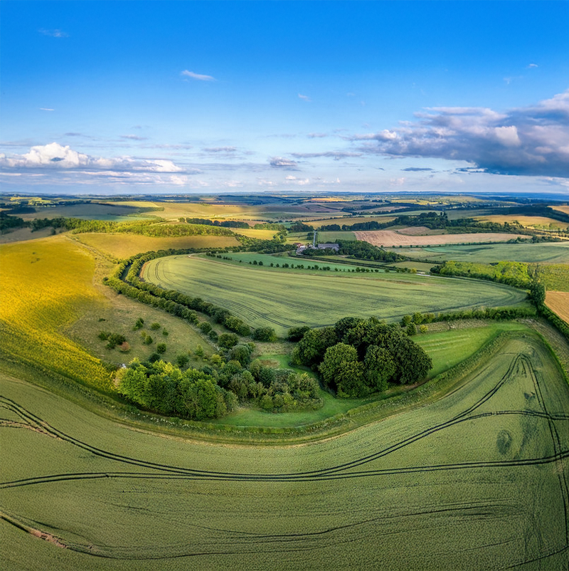 marlborough transition image: view across marlborough downs